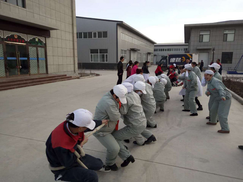 銀川伊百盛生物工程有限公司